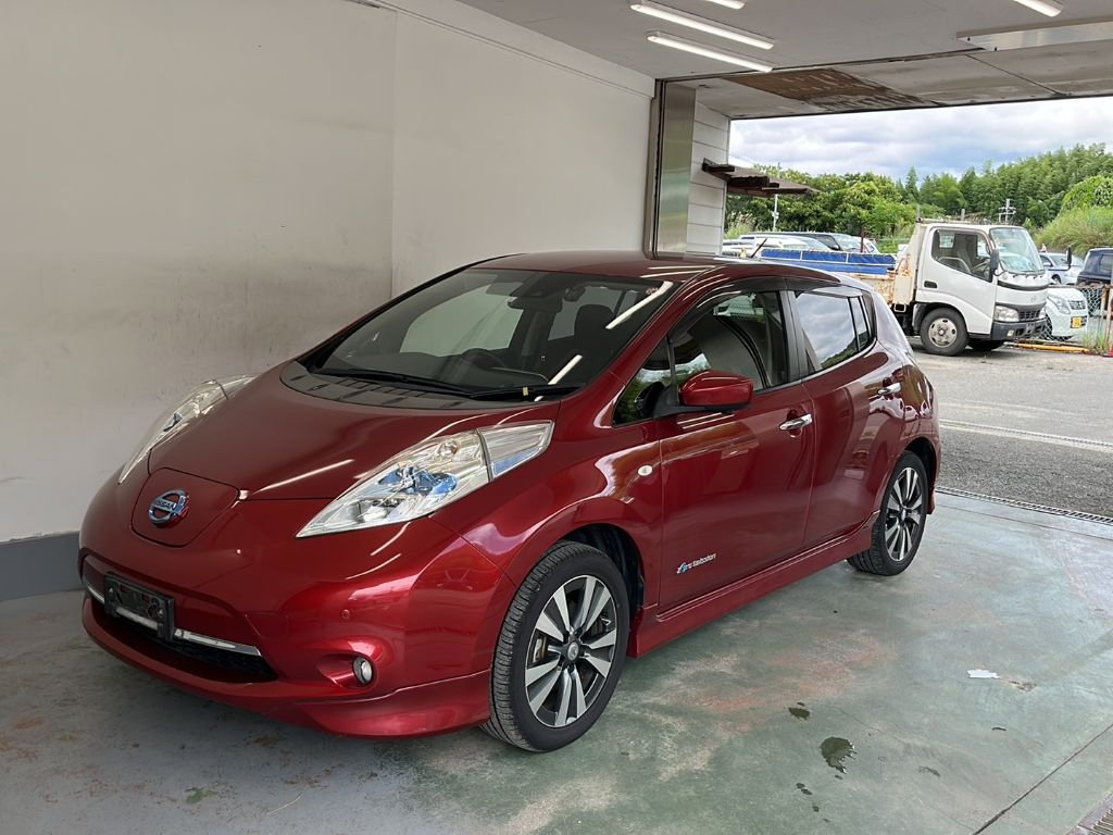 Nissan leaf комплектации. Nissan Leaf вишневый. Ниссан Харьков.